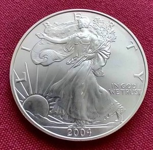 2004 American Silver Eagle
