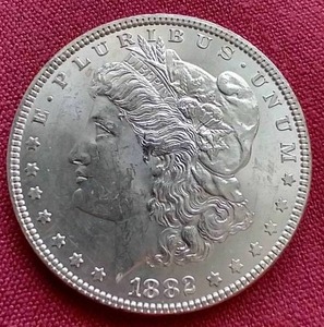 1882 Morgan Dollar
