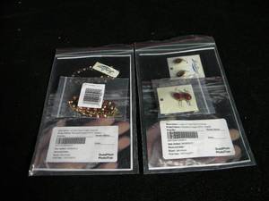 lot 125 image: Red Bead Bracelet and Earring Set