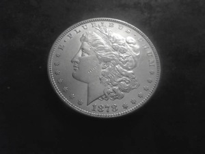 1878 Morgan Silver Dollar With 8 Tailfeathers