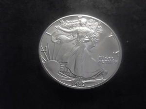 1989 US American Eagle 1 Oz. 99.9 Fine Silver MS From BU Roll.