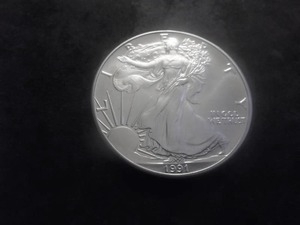 1991 US American Eagle 1 Oz. 99.9 Fine Silver MS From BU Roll.
