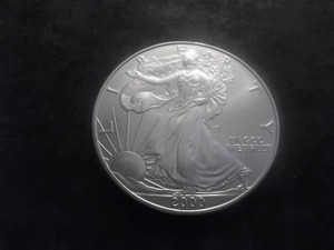 2000 US American Eagle 1 Oz. 99.9 Fine Silver MS From BU Roll.