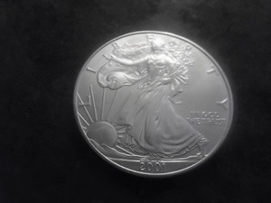 2001 US American Eagle 1 Oz. 99.9 Fine Silver MS From BU Roll.