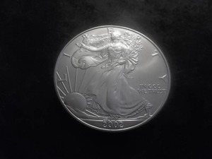 2002 US American Eagle 1 Oz. 99.9 Fine Silver MS From BU Roll.