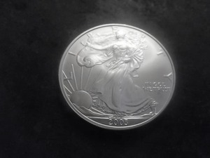 2003 US American Eagle 1 Oz. 99.9 Fine Silver MS From BU Roll.