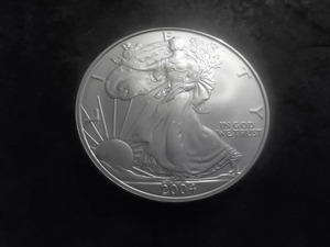 2004 US American Eagle 1 Oz. 99.9 Fine Silver MS From BU Roll.