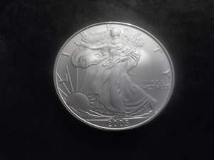 2005 US American Eagle 1 Oz. 99.9 Fine Silver MS From BU Roll.
