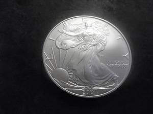 2007 US American Eagle W Mint 1 Oz. 99.9 Fine Silver MS From BU Roll.