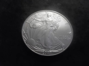 2007 US American Eagle 1 Oz. 99.9 Fine Silver MS From BU Roll.