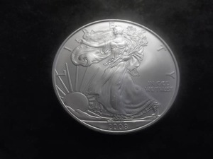 2008 US American Eagle 1 Oz. 99.9 Fine Silver MS From BU Roll.