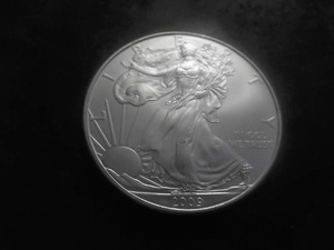 2009 US American Eagle 1 Oz. 99.9 Fine Silver MS From BU Roll.