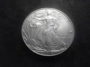 2013 US American Eagle 1 Oz. 99.9 Fine Silver MS From BU Roll.