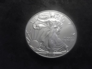 2014 US American Eagle 1 Oz. 99.9 Fine Silver MS From BU Roll.