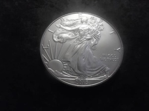 2015 US American Eagle 1 Oz. 99.9 Fine Silver MS From BU Roll.