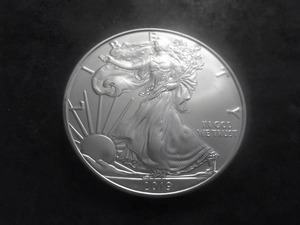 2019 US American Eagle 1 Oz. 99.9 Fine Silver MS From BU Roll.