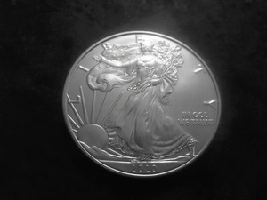 2020 US American Eagle 1 Oz. 99.9 Fine Silver MS From BU Roll.