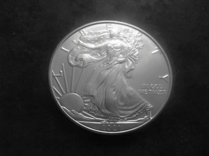 2021 US American Eagle 1 Oz. 99.9 Fine Silver MS From BU Roll.