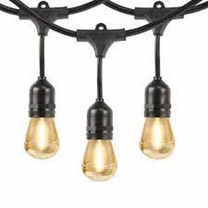 lot 23 image: Feit Electric 48 LED Filament String Light Set