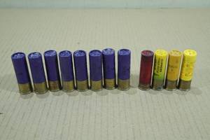 lot 213 image: Assorted 16 Gauge and 20 Gauge Shotshells