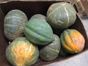 Box of Assorted Winter Squash...
