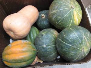 Box of Assorted Winter Squash...