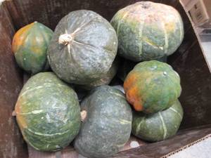 Box of Assorted Winter Squash...