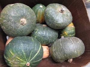 Box of Assorted Winter Squash...