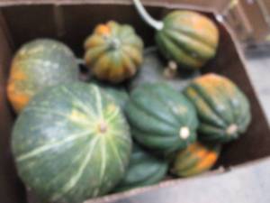 Box of Assorted Winter Squash...