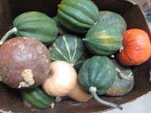 Box of Assorted Winter Squash...
