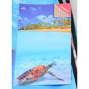lot 6 image: Whitley Willows Microfiber Beach Towel 35 x 70 Turtle Beach Ocean