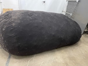 Huge Bean Bag used needs cleaning