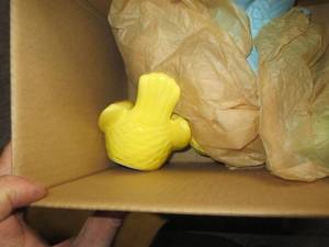 lot of 5 new spring birds ...
