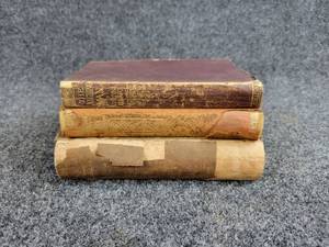 lot 2042 image: Lot of (3) Antique Books