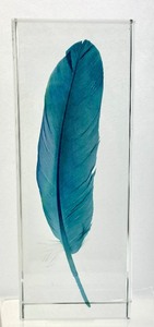 lot 38 image: Crystal Clear Feather Bookend