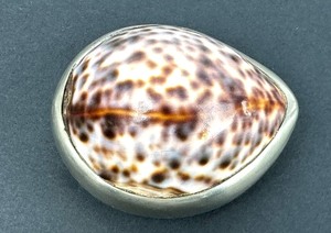 lot 62 image: Antique Swedish Seashell Snuff Box