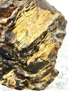 lot 183 image: Stunning Piece of Petrified Wood