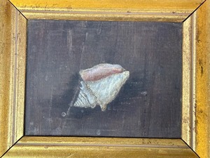 lot 351 image: Vintage Oil on Board Painting of a Seashell