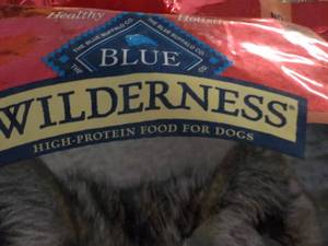 20 lb. Blue Wilderness Adult Dog Fo...