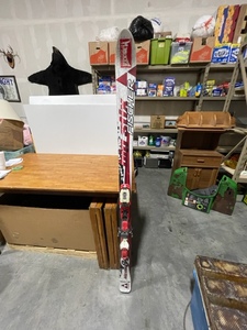 Fischer Downhill Skis
