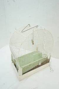bird cage