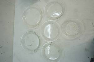 glass pie plates