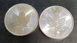 2 x 2020 CANADA MAPLE LEAF 1 TROY OZ .9999 FINE SILVER 2oz TOTAL