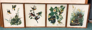 lot 391 image: Bird Artwork Set
