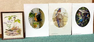 lot 390 image: Bird Artwork Prints