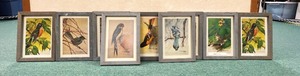 lot 381 image: J F Landenberger Bird Print Set of 9