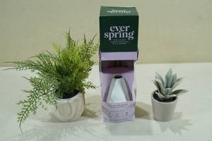 2 New Faux Potted Succulents with Essential Oil Reed Diffuser
