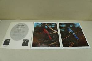 Limited Edition Prints By Leo Stans Beauty in Red & Beauty in Blue