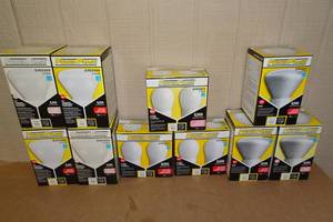 10 Assorted Bulbs -14W Lamp, 14W & 16W Flood Light