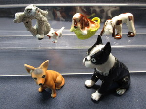 lot 50 image: Playful Puppies